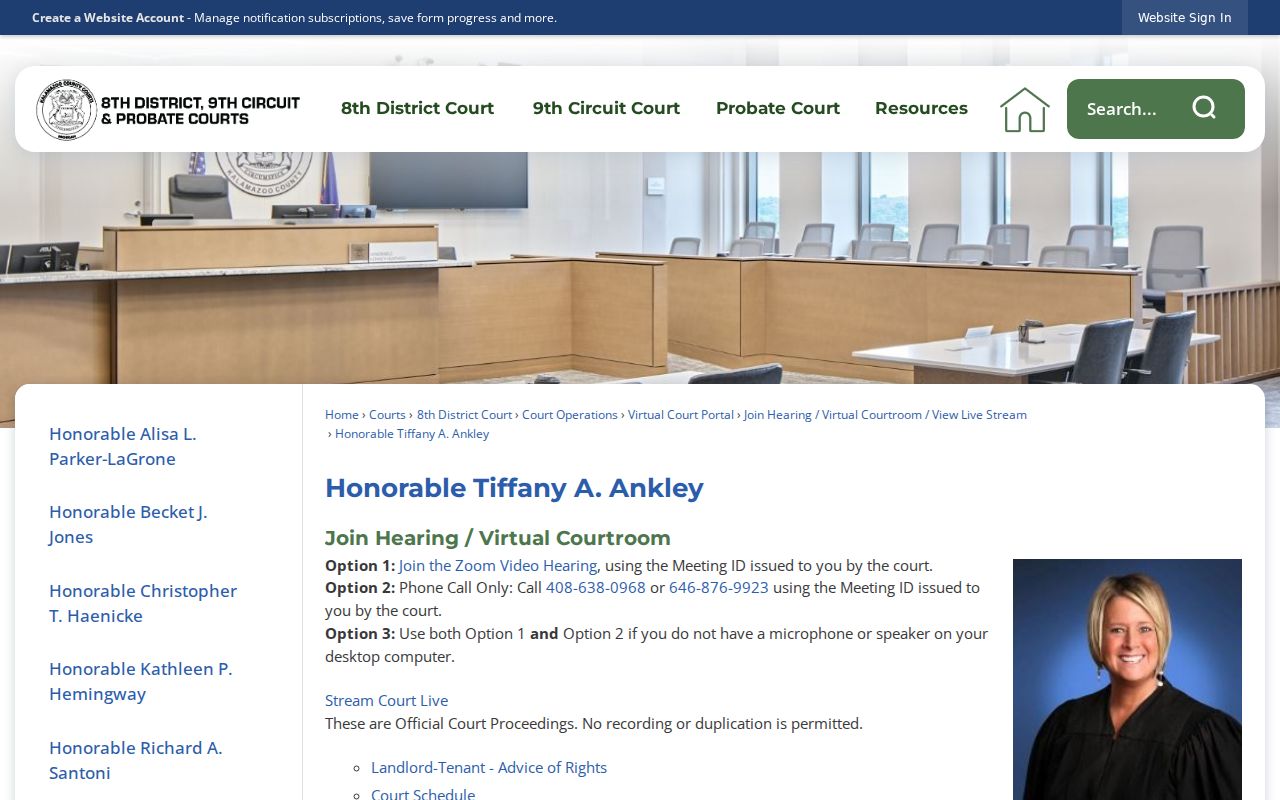 Kalamazoo County court calendar judge virtual hearing instructions